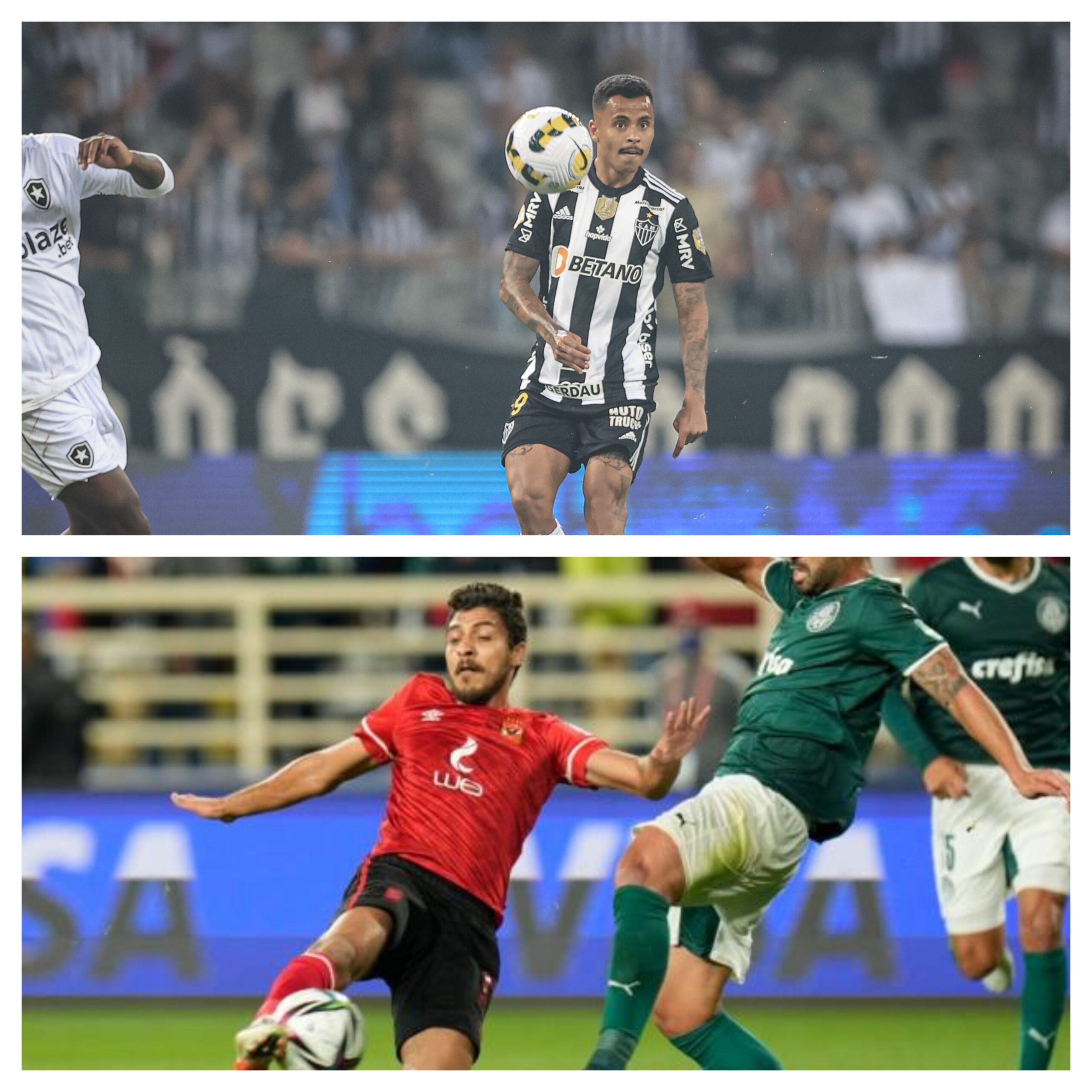Botafogo vs. PalmÐµiras